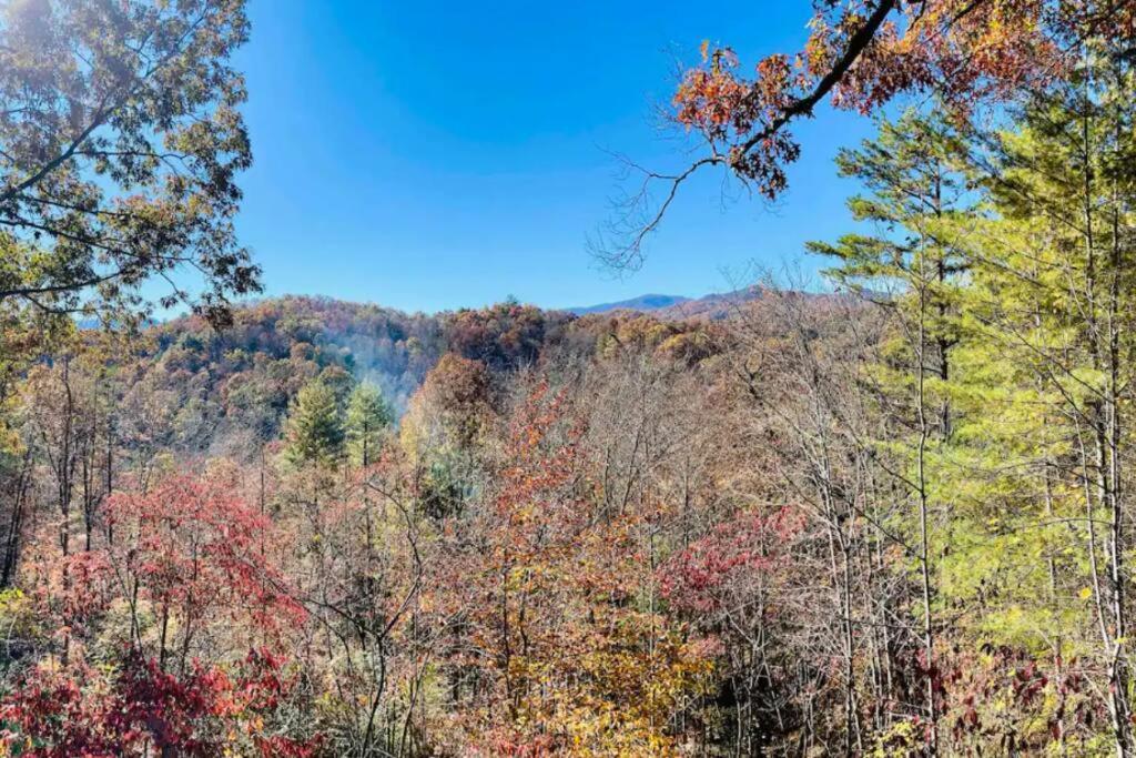 Lazy Bear Cabin Near Nantahala Outdoor Center And Bryson City Exterior photo