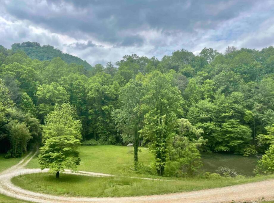 Lazy Bear Cabin Near Nantahala Outdoor Center And Bryson City Exterior photo