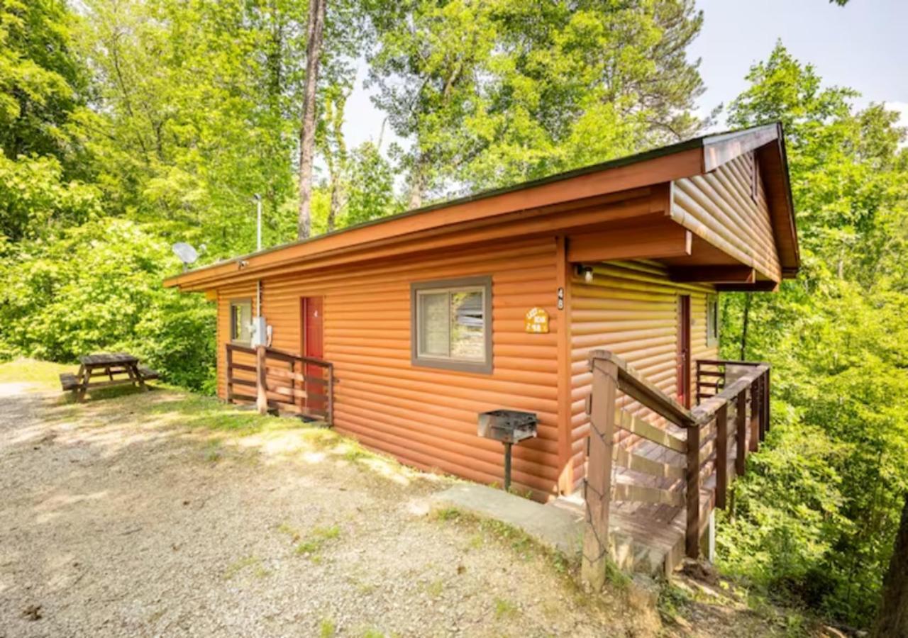 Lazy Bear Cabin Near Nantahala Outdoor Center And Bryson City Exterior photo